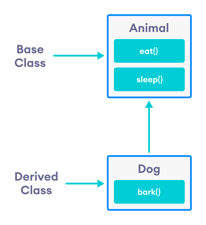 C++ Inheritance Dog class inherits from the Animal class